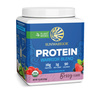 Sunwarrior WARRIOR BLEND Jagodowy (15 porcji / 375g)